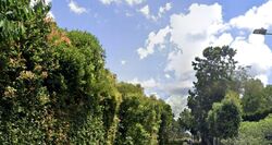 Victoria Park Close (D10), Detached #458203211